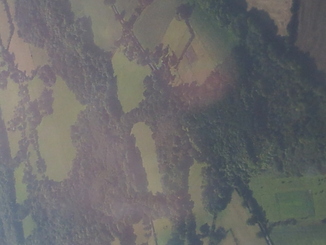 thumb_20121003_105958.jpg