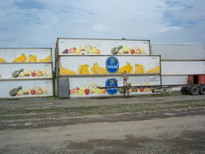 thumb_David_admires_a_million_bananas..jpg