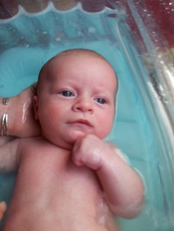 thumb_Jaspper__GREAT_grandson_aged_3_months.jpg