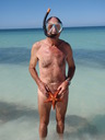 thumb_Starfish_in_Cuba.jpg