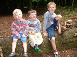 thumb_06_new_forest_015.jpg