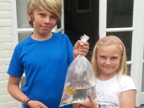 thumb_20150815_155030.jpg