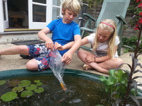 thumb_20150815_155545.jpg