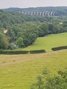 thumb_20190708_182733.jpg