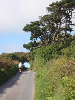 thumb_1009Sept_056.jpg