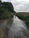 thumb_Sightseer-Norfolk_085.jpg
