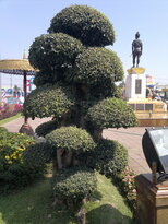 thumb_250220111384.jpg